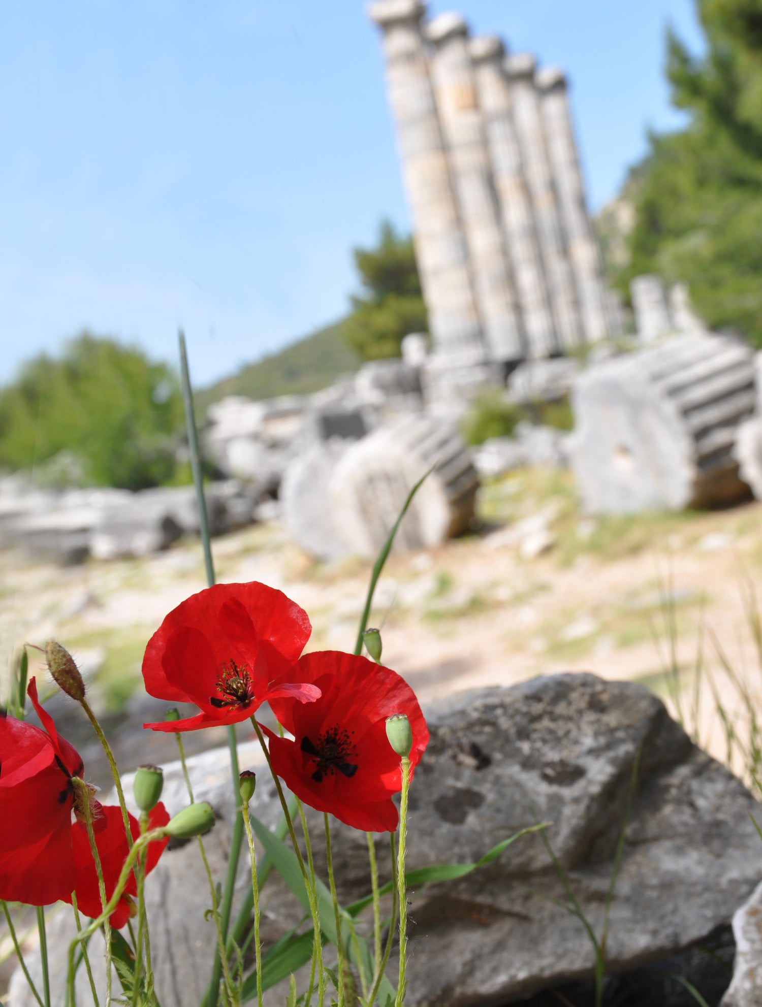 Turkey Temple of Athena at Prienerien