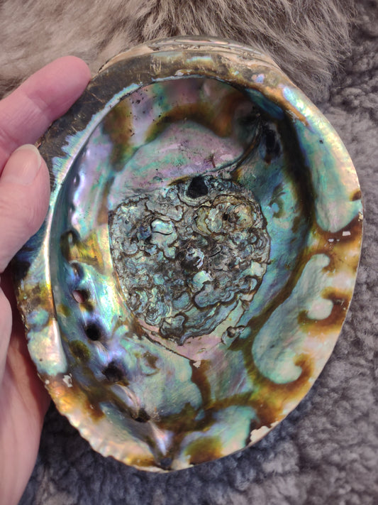 Lessons from a Sage Bundle and an Abalone Shell