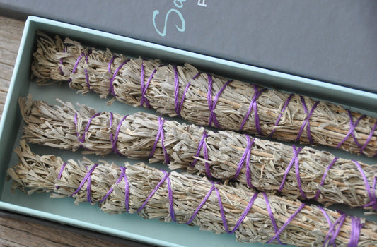 Box of three smudge bundles, Mountain Sage, sustainably wildcrafted, fragrant and purifying